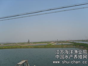 江蘇興化市建設(shè)優(yōu)質(zhì)水產(chǎn)品繁育生產(chǎn)示范基地