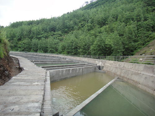 重慶石柱最大的冷水魚流水養(yǎng)殖場建成投產(chǎn)